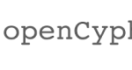 Logo with a teal circular design made of intersecting white lines on the left and the text openCypher in gray lowercase and uppercase letters on the right.